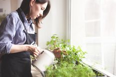 abono El abono que revive tus plantas. Foto: Shutterstock
