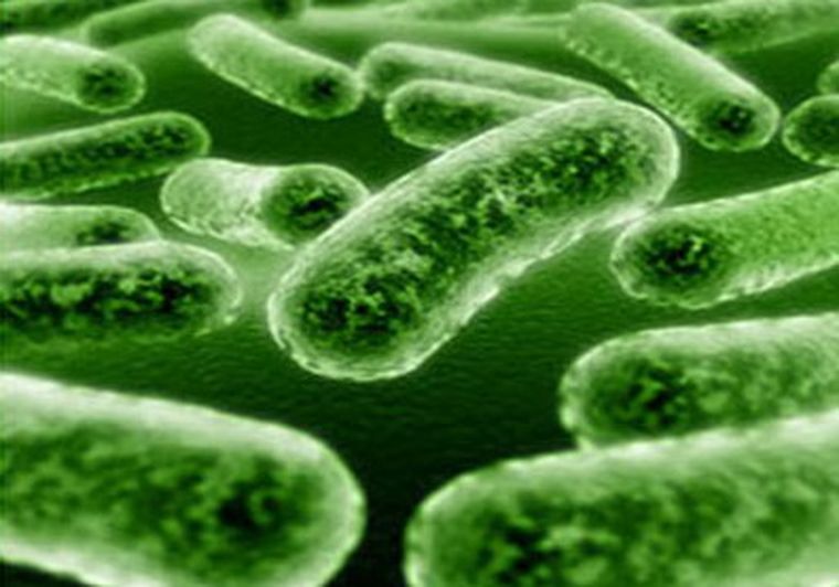 ¿Prueba de vida extraterrestre? Foto: web