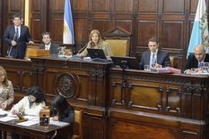 Foto: Gentileza prensa Senado