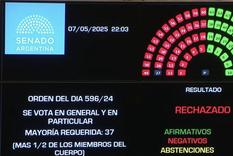 escandalo por ficha limpia: certezas, frustracion y presunciones