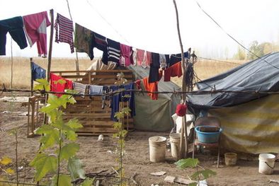 MDZol | Campamentos de la indignidad humana.