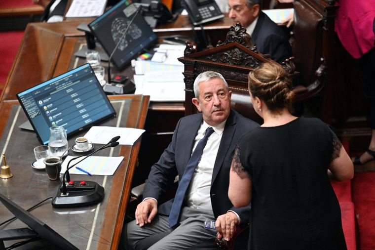 Julio Cobos en el recinto. Foto: Télam