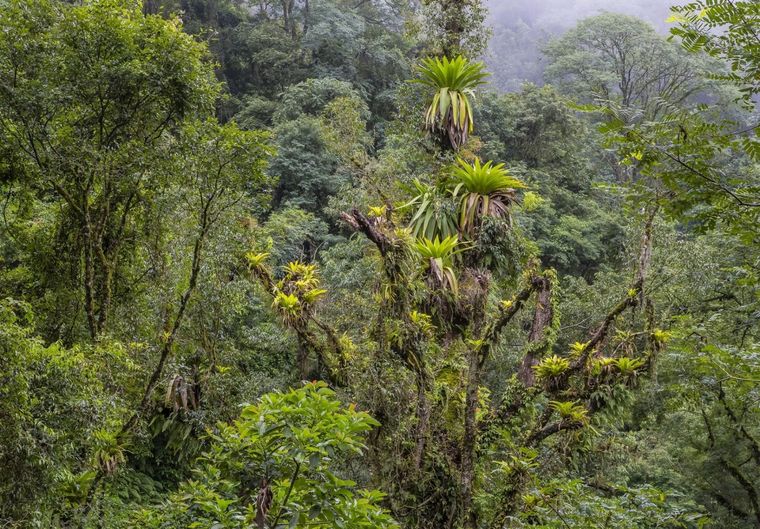 Este Parque Nacional es único en el país
