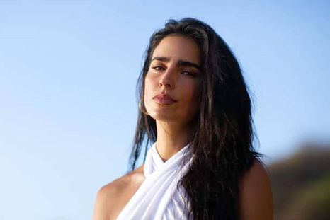Las proteínas que creó Bárbara de Regil son falsas, según dijo un experto nutriólogo mexicano. Foto: elfinanciero.com.mx