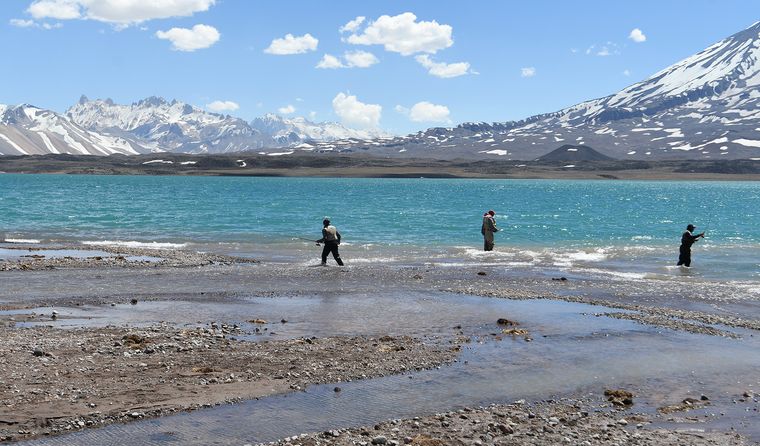 Ubicada a 3.250 metros sobre el nivel del mar, la Laguna del Diamante integra el relevamiento nacional de ecosistemas por su valor ambiental y científico. Ubicada a 3.250 metros sobre el nivel del mar, la Laguna del Diamante integra el relevamiento nacional de ecosistemas por su valor ambiental y científico.
