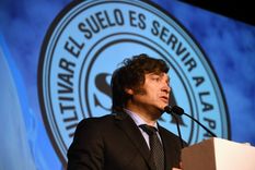 Javier Milei, candidato a presidente por La Libertad Avanza Foto: Telam