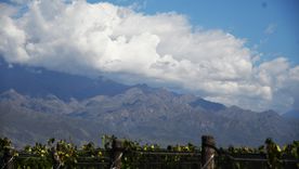 El solcito se adueña de Mendoza, pero no por mucho. El solcito se adueña de Mendoza, pero no por mucho.