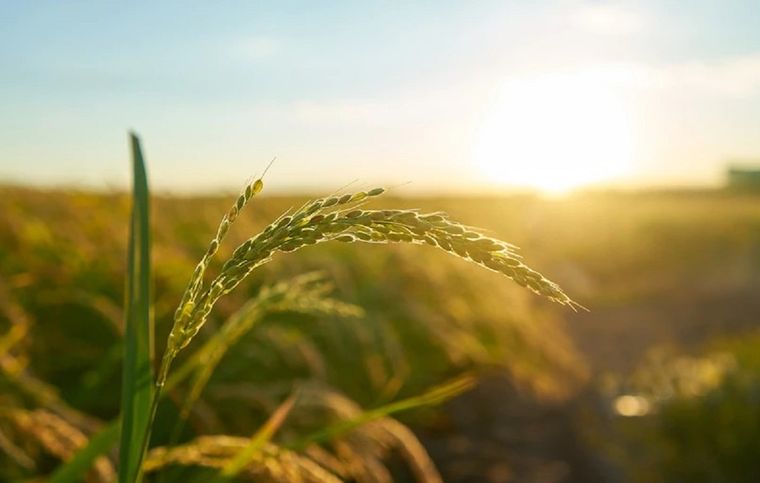 Estos destinos te ayudarán a desestresarte Foto: Freepik