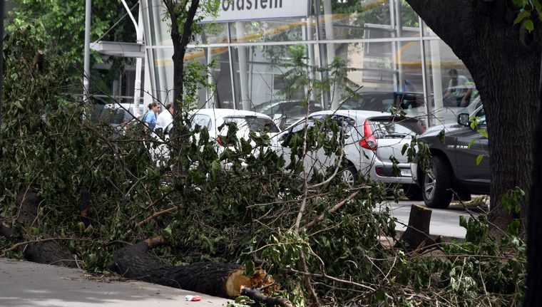 A dos semanas del feroz viento Zonda, los trabajos de limpieza continúan y se prevé que lo hagan en los próximos días. Foto: ALF PONCE MERCADO / MDZ
