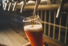 Mendoza tiene la mejor cerveza Vienna Lager del mundo.