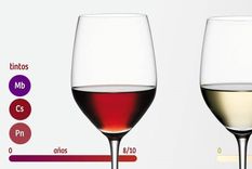 ¿que vinos probar para aprender sobre el color del vino?