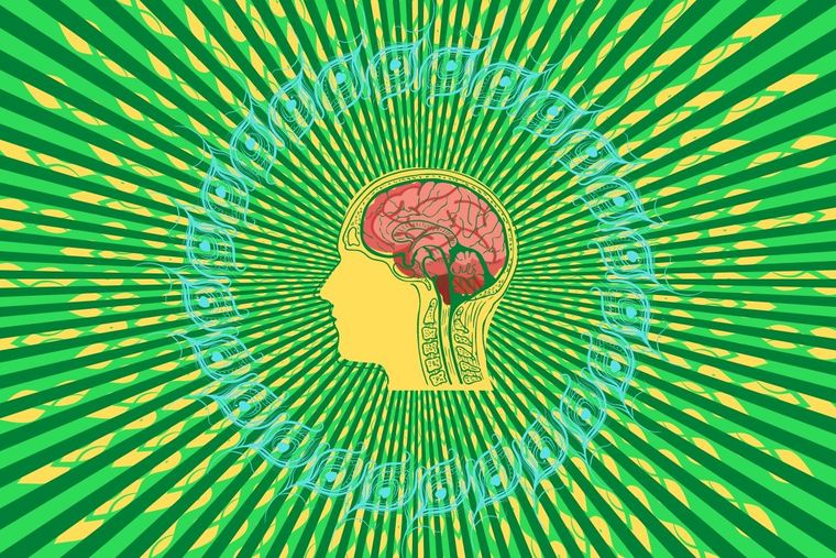 Lo primero que veas en este test visual revelará un curioso dato sobre tu carácter Test visual Foto: Canva