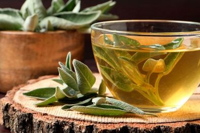 MDZol | La salvia es un ansiolítico natural Foto: Shutterstock
