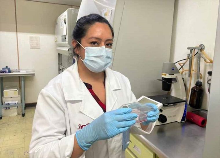 Paola Castillo Juárez, la científica que asegura haber desarrollado un fármaco casi infalible para tratar el covid. Foto: Uno más uno