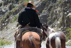 Foto ilustrativa Foto ilustrativa