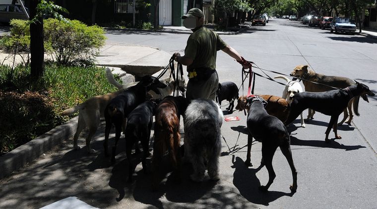 Foto: ALF PONCE / MDZ