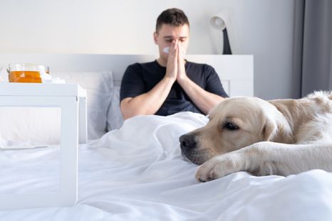 El estudio revela un dato que llamó la atención de varios sobre el origen de enfermedades en las mascotas Foto: Shutterstock