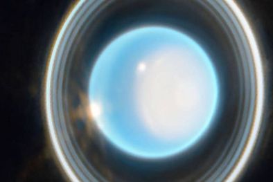 MDZol | La imagen muestra en extraordinario detalle algunos de los 13 anillos conocidos de Urano. (NASA, ESA, CSA, STScI. Procesamiento de imágenes: J. DePasquale, STScI). Foto: NASA