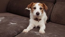 Usa estos trucos para una limpieza total. Foto: Archivo