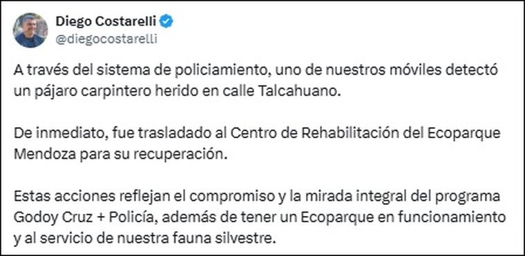 El intendente Diego Costarelli destacó la rápida actuación del patrullero municipal que asistió a un pájaro carpintero herido. El intendente Diego Costarelli destacó la rápida actuación del patrullero municipal que asistió a un pájaro carpintero herido.