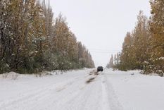 El Sistema de Alerta Temprana emitió avisos de nivel naranja por nevadas fuertes Foto: Gentileza El Sistema de Alerta Temprana emitió avisos de nivel naranja por nevadas fuertes Foto: Gentileza