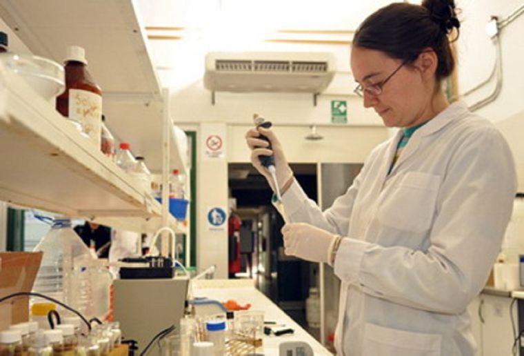 Científicos argentinos crearon una herramienta que previene infartos y ACV con inteligencia artificial. Foto: MDZ / Nacho Gaffuri