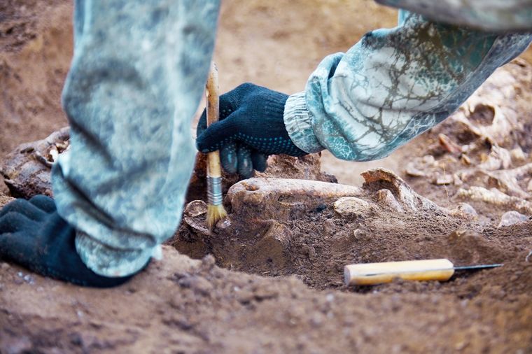 El descubrimiento ocurrió en Austria Foto: Shutterstock
