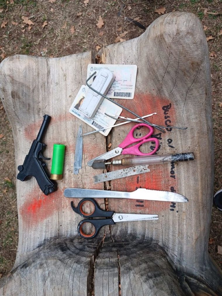 Ocho armas de fuego y cuatro réplicas fueron incautadas en operativos en el Gran Mendoza Foto: Ministerio de Seguridad de Mendoza