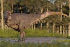 Reconstrucción en vida del nuevo dinosaurio Koleken inakayali hecha por Gabriel Díaz Yantén para el Museo Paleontológico de Chubut Foto: Museo Paleontológico Egidio Feruglio
