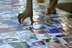 una vision de la pirateria