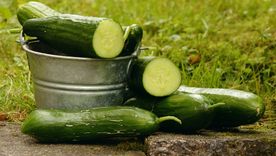 ¿Cómo aprovechar al máximo la cáscara del pepino? Acá te lo contamos Foto: Pixabay