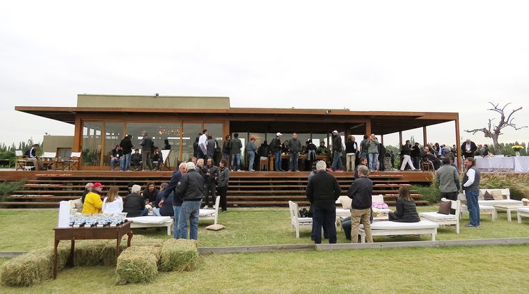 Foto: Fede Croce / MDZ