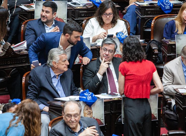 Diputados del Frente de Todos durante la sesión de este jueves Foto: NA