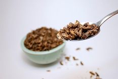 En los últimos años los insectos se han convertido en una alternativa de alimento.