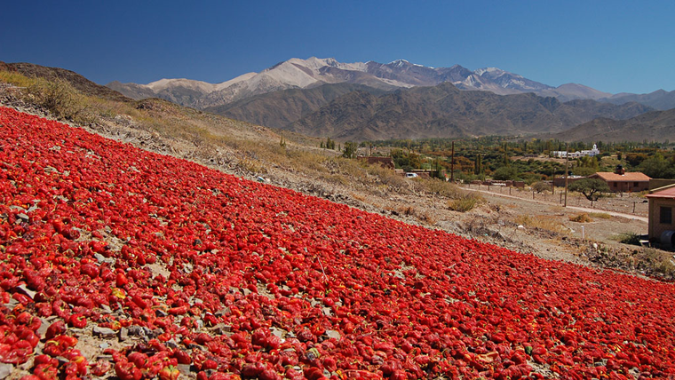 El pueblo de Salta que cobra relevancia en el turismo slow.