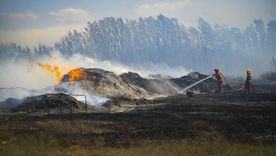 multas de hasta $100 millones: endurecen sanciones por desmontar flora y bosques nativos multas de hasta $100 millones: endurecen sanciones por desmontar flora y bosques nativos
