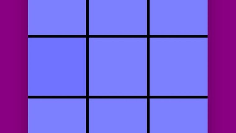 ACERTIJO VISUAL ACERTIJO VISUAL, RETO VISUAL, COLOR Foto: ARCHIVO