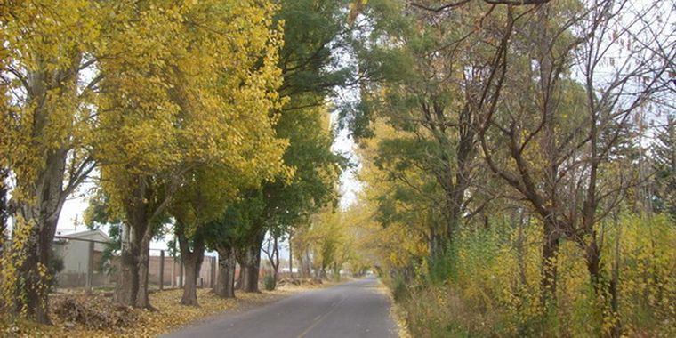 Alrededor del mediodía, aparecerá el sol.