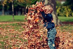 Los niños podrán salir a disfrutar del otoño este jueves