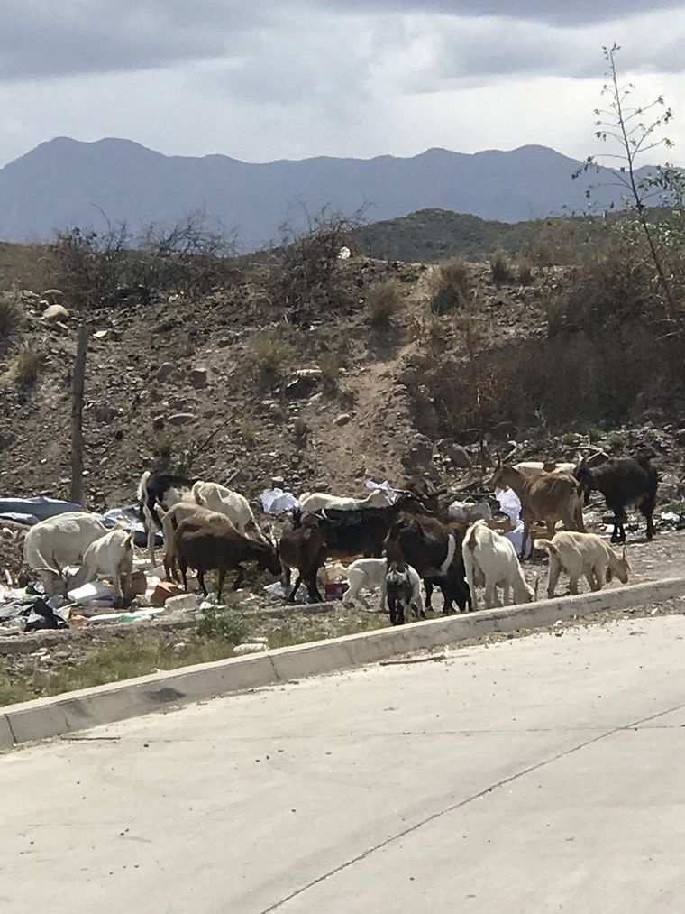 Foto: Paula Domínguez