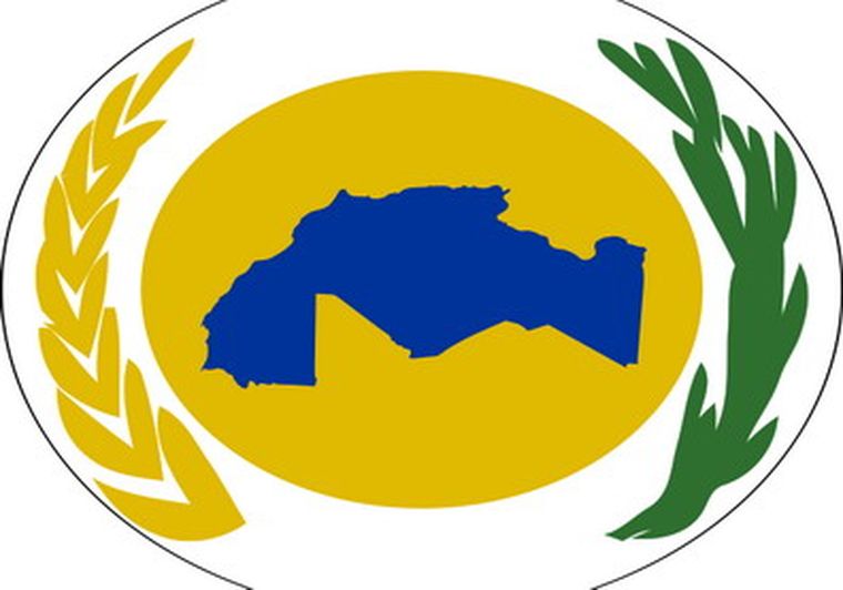 El emblema magrebí representa la unión de las naciones musulmanas en el norte de África. Foto: Gentileza / Wikipedia