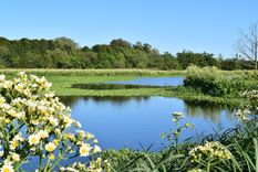 San Nicolás es uno de los destinos de la provincia de Buenos Aires donde la naturaleza es protagonista. Foto: San Nicolás Turismo