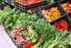 Llegó el tiempo de aprovechar todo lo verde. Foto: ALF PONCE MERCADO / MDZ