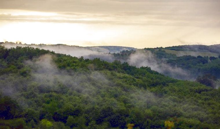 Se trata de una especie hasta ahora desconocida Foto: EFE
