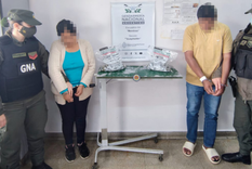 La pareja de mulas fue detenida mientras viajaban en un micro de una empresa de transporte.