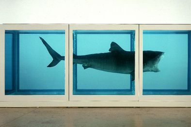 MDZol | Foto: darkroom.com