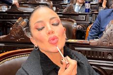 La flamante diputada y sus fotografías en el recinto.