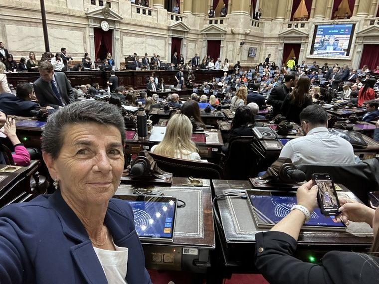 Patricia Vásquez, diputada nacional del PRO Foto: X @PatoVasquezOk