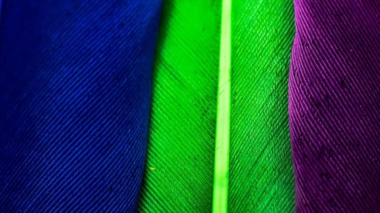 Son naturales pero, en más de un sentido, fenomenales. Foto: GETTY IMAGES