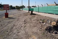 En la zona de la avenida Champagnat (Las Heras) había árboles añosos que aportaban calidad de vida con su sombra, fresco y oxígeno. En la zona de la avenida Champagnat (Las Heras) había árboles añosos que aportaban calidad de vida con su sombra, fresco y oxígeno.